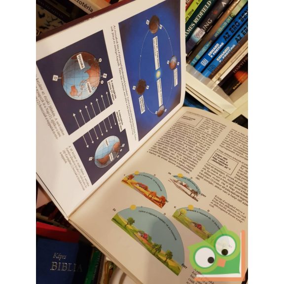 Erich Überlacher: A Nap (Mi Micsoda sorozat 12.)