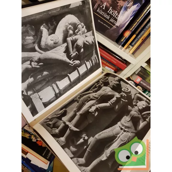 Heinz Mode: A nő az indiai művészetben