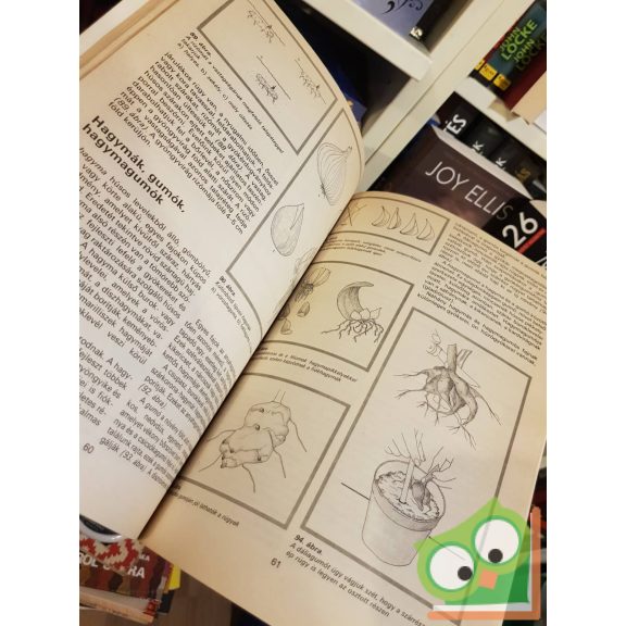 Czáka Sarolta, Füstös Zsuzsanna, Hrotkó Károly: A növényszaporítás ábécéje