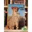 Joy Adamson: A pettyes szfinx  (A pettyes szfinx 1.)