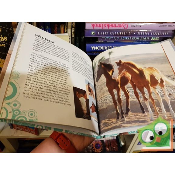 Christiane Slawik: A sivatag lovai