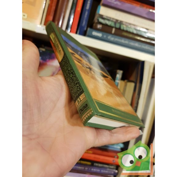 Karl May: A sivatag szelleme