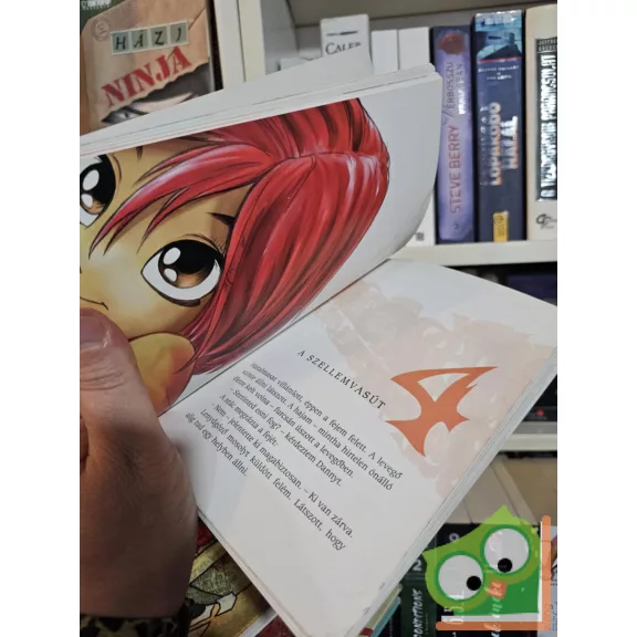 Lene Kaaberbøl: A szalamandra szíve (WITCH 1.)