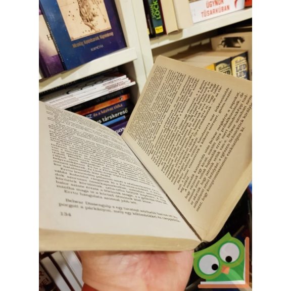 R. A. Salvatore: A szilánk szolgája (Forgotten Realms)