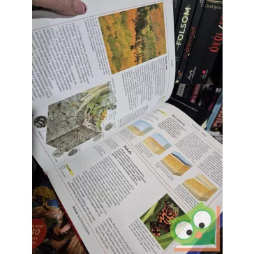   Ben Dupré (szerk.): A természet csodálatos világa (Oxford gyermekenciklopédia)