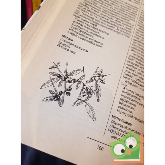 John Lust - Michael Tierra: A természetes gyógymódok bibliája