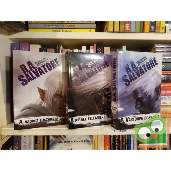 R. A. Salvatore: A vadász éjszakája (Vándorok könyve 1.) (Drizzt legendája 25.) (Dungeons&Dragons) (ritka)