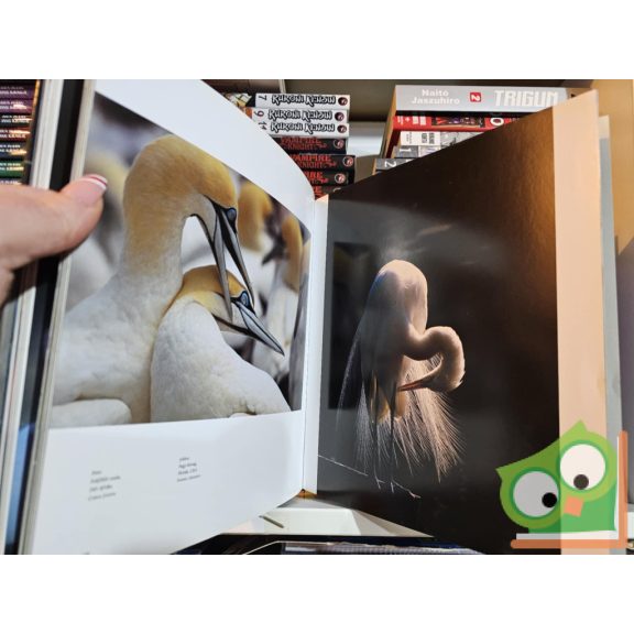 John G. Mitchell: A vadon képekben