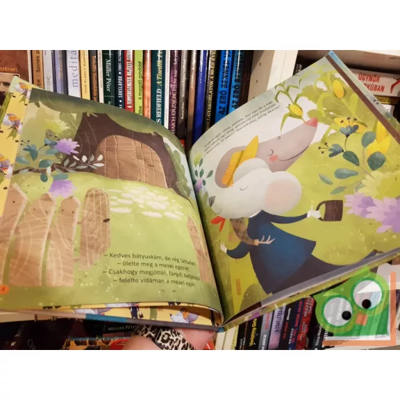 Emily Bevens: A városi egér és a mezei egér(Kedvenc klasszikus meséim)