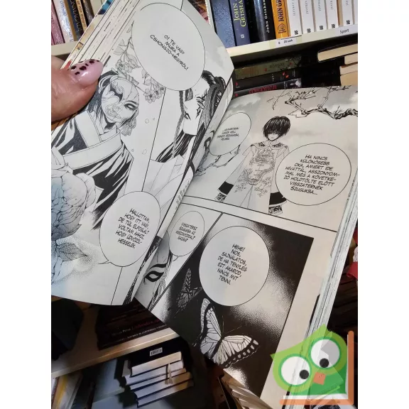 Jun Mi-Kjong: A vízisten menyasszonya 9. (A vízisten menyasszonya 9.)