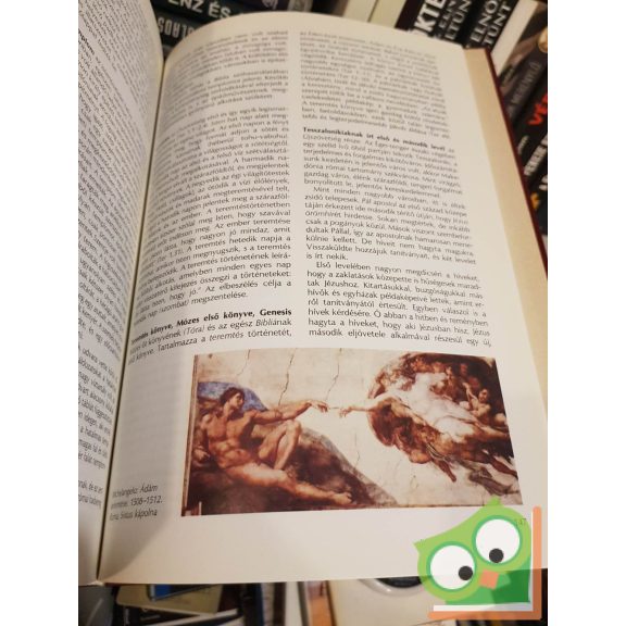 D. Major Klára (szerk.): Ábel - Zsuzsanna - Képes bibliai lexikon