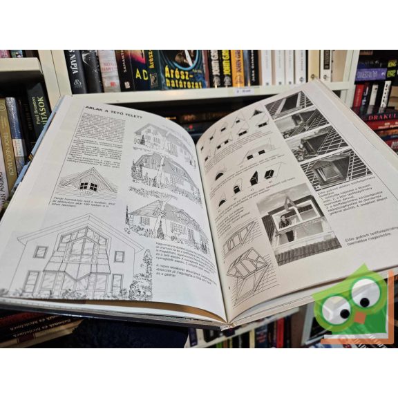 Kószó József: Ablak a házon