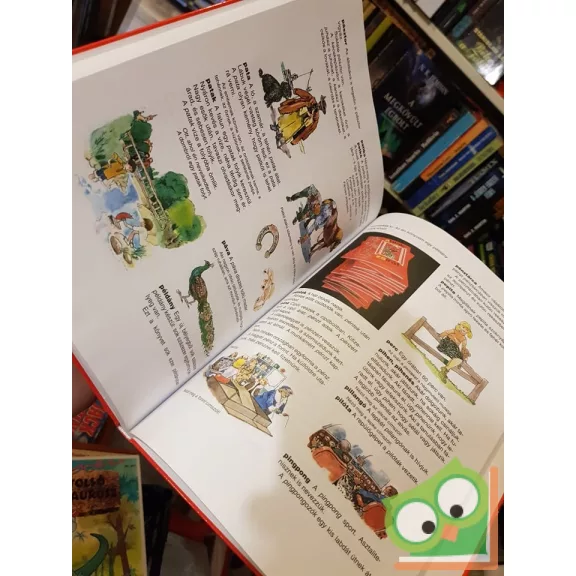 Mérei Ferenc, V. Binét Ágnes: Ablak-Zsiráf