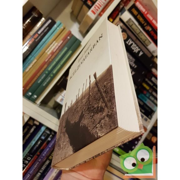 Ernst Jünger: Acélzivatarban  (Ritka!)