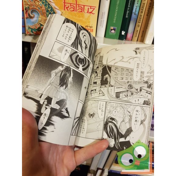 Adachitoka: Noragami Vol 13. (japán nyelvű manga)