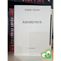   Török József: Adoremus - Az Egyház liturgiájának ismerete a nyári kántorképző tanfolyam hallgatói részére