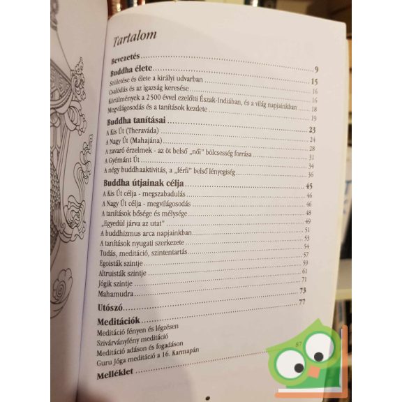 Ole Nydahl: Ahogy a dolgok vannak (Buddhizmus napjainkban)