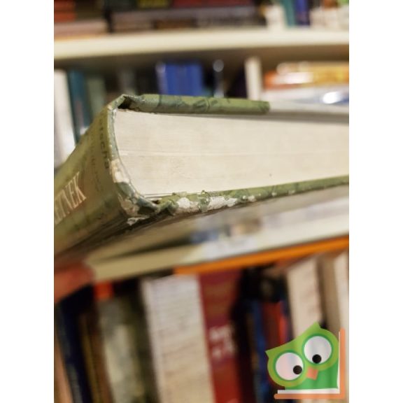 Babucs Zoltán, Maruzs Roland: Ahol a hősök születnek