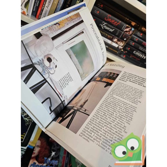 Joachim Werle: Ajtók, ablakok és lépcsők beépítése (Saját kezűleg sorozat)