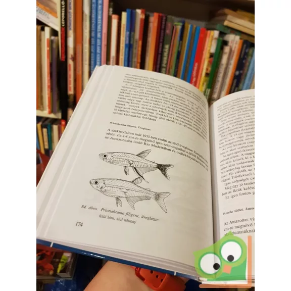 Horn Péter - Zsilinszky Sándor: Akvarisztika