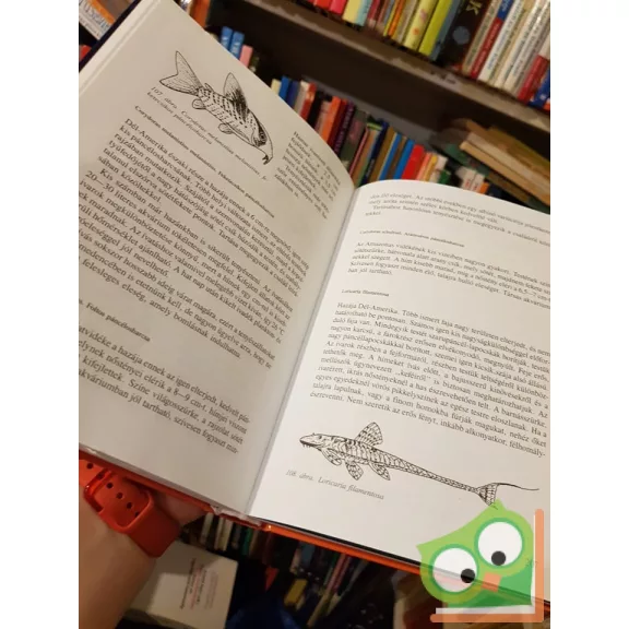 Horn Péter - Zsilinszky Sándor: Akvarisztika