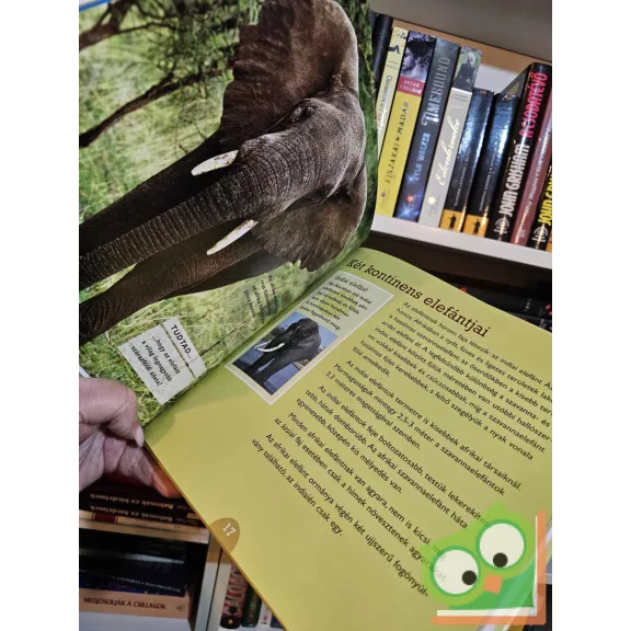 Sarah Albee: Elefántok (Szórakoztató állatvilág)