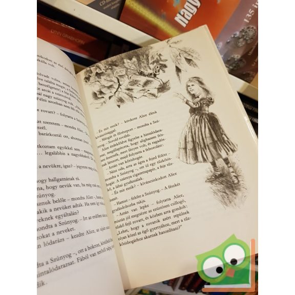 Lewis Carroll: Alice Tükörországban (Alice 2.)