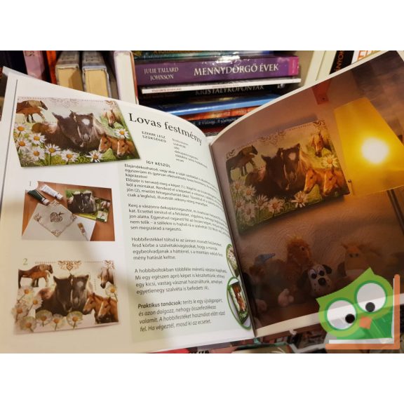 Venke Eiane Saether: Alkotókönyv  (PonyClub)