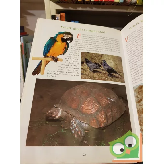 Schmidt Egon: Állati érdekességek