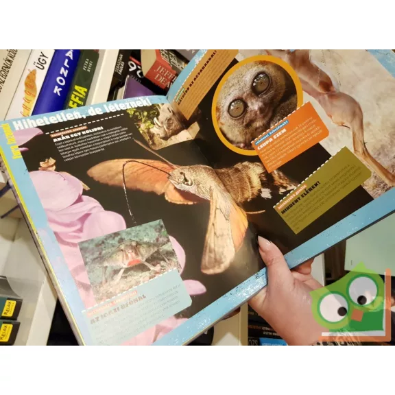 Állati X - Megdöbbentő állatvilág: Extrém külső