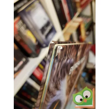 Állati X - Megdöbbentő állatvilág: Extrém külső