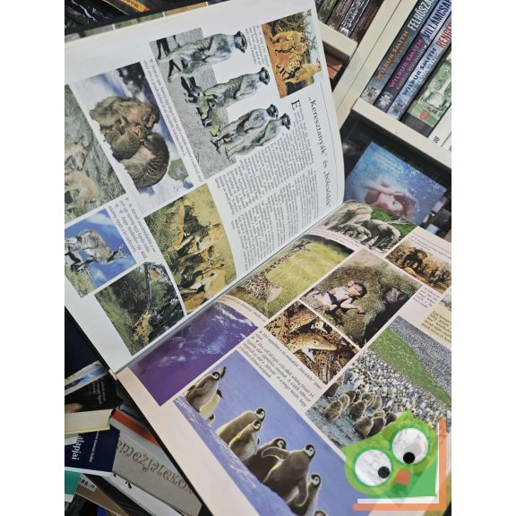 Állatkölykök 1000 képen