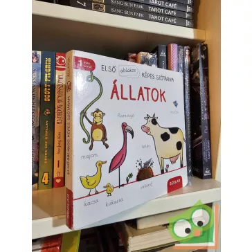   Martina Badstuber: Állatok (Első ablakos képes szótáram)