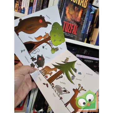   Martina Badstuber: Állatok (Első ablakos képes szótáram)