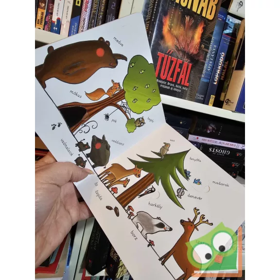 Martina Badstuber: Állatok (Első ablakos képes szótáram)