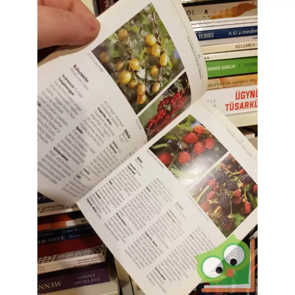 Peter Himmelhuber: Almák, bogyós gyümölcsűek…cserépben és dézsában (Növényápolási tanácsadó)