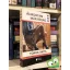 Tomor Anita: Álmodtam már rólad (Álmodtam már rólad 1.)