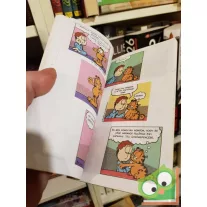 Jim Davis: Zseb-Garfield 63. Álom páros