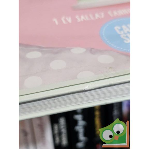 Sallay Fanni: Álom sütikivitelben