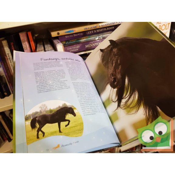 Cynthia McFarland: Álomszép lovak  (PonyClub)