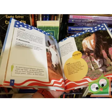 Bob Langrish: Amerikai álomlovak