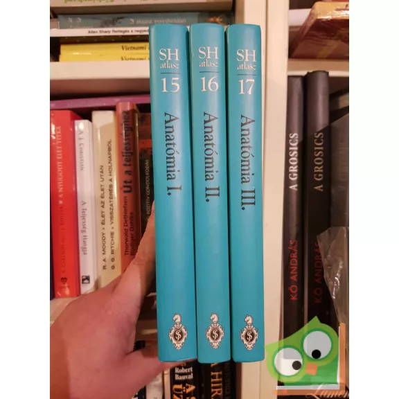 Anatómia I-III. (SH Atlasz) (nagyon ritka)