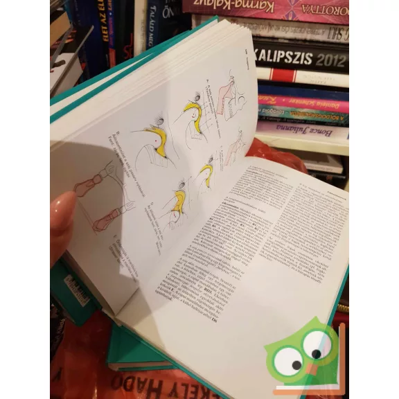 Anatómia I-III. (SH Atlasz) (nagyon ritka)