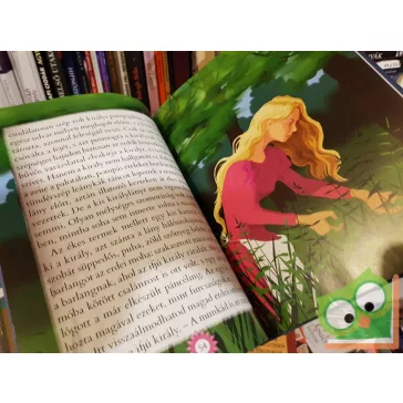   Hans Christian Andersen: Andersen csodálatos meséi  (ritka)