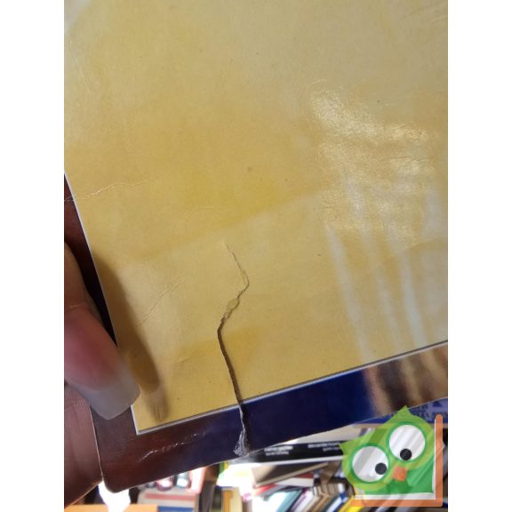 Erdélyi Margit: Angol nyelvkönyv