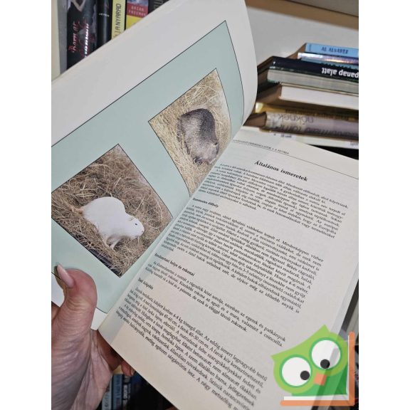 Csikváry László Az angóranyúl tenyésztése