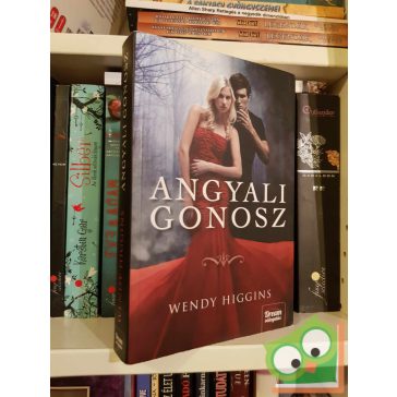 Wendy Higgins: Angyali gonosz (Sweet Evil 1.) (ritka)