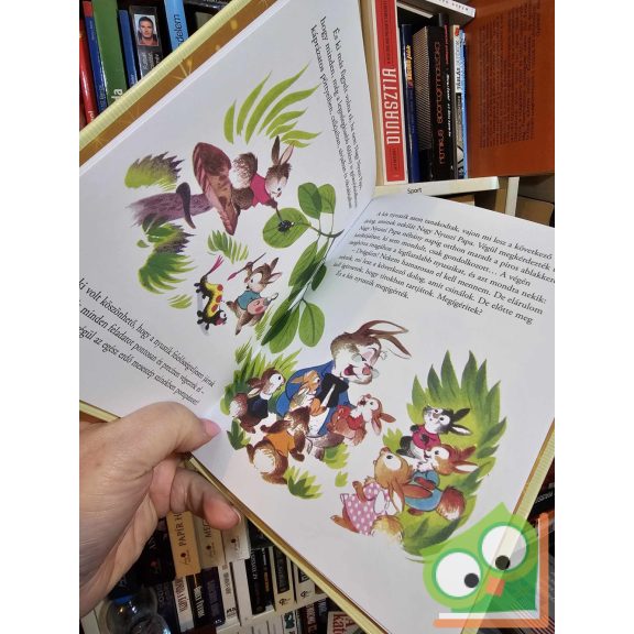 Walt Disney - Nyuszi papa leckéi (Mesék az aranygyűjteményből 32.) 