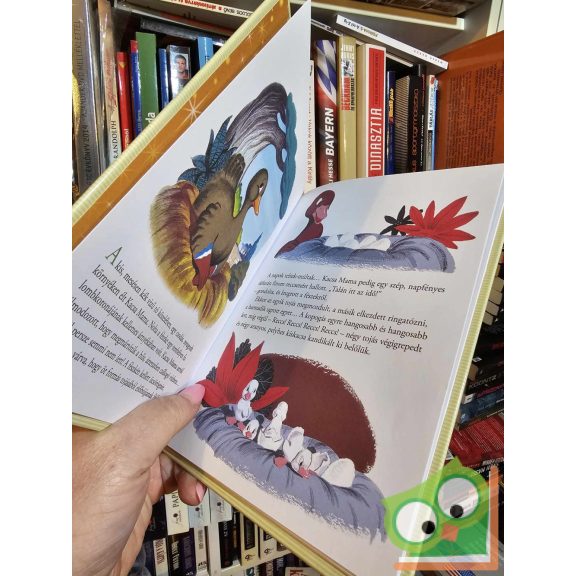 Walt Disney - A rút kiskacsa (Mesék az aranygyűjteményből 60.) (újszerű)