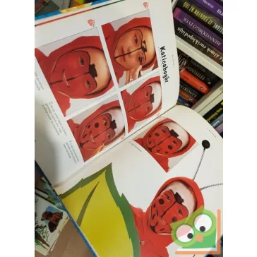 Lynsy Pinsent: Arcfestés